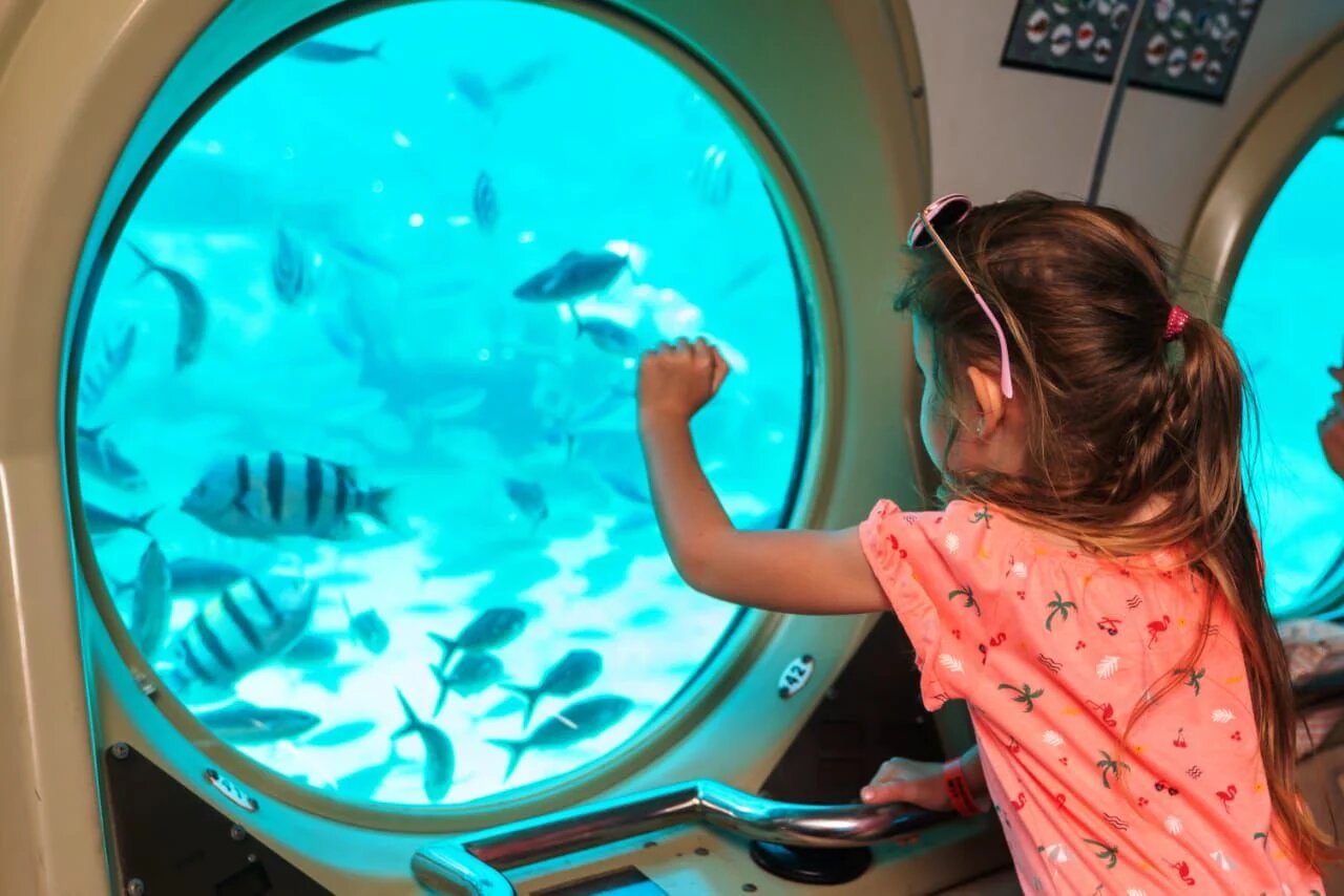 04306a4b bc74 43c7 8495 c29cfd8c073d