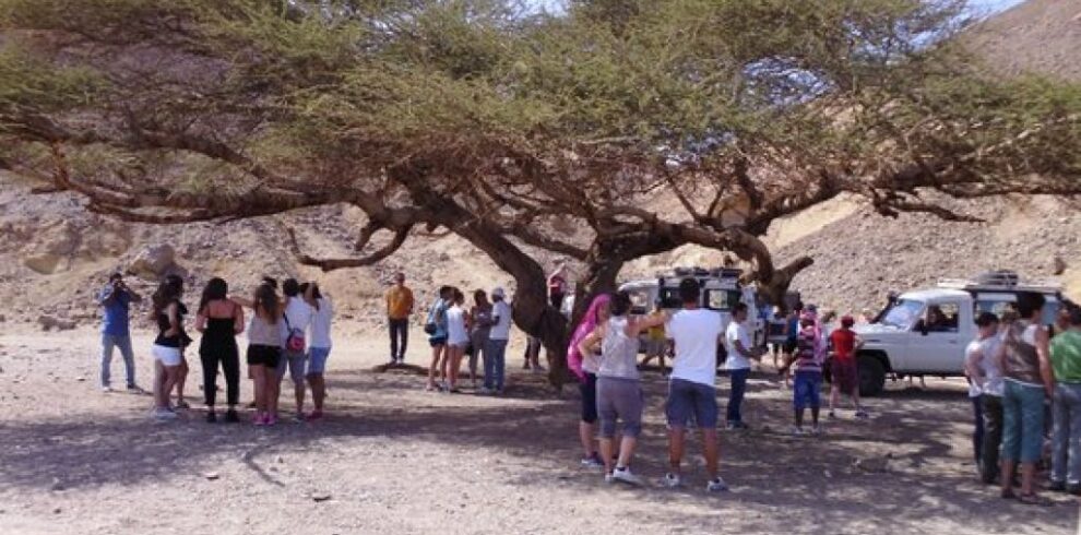 12 bedouin bbq in the egyptian desert by 4x4 921487260782