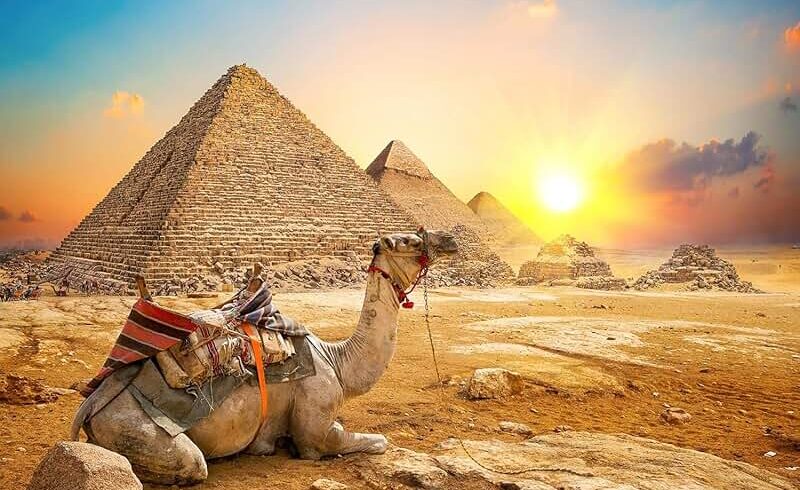 81orb+e1gml. ac ul800 ql65