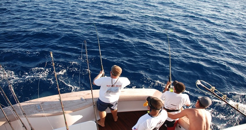 bodrum fishing tour 9