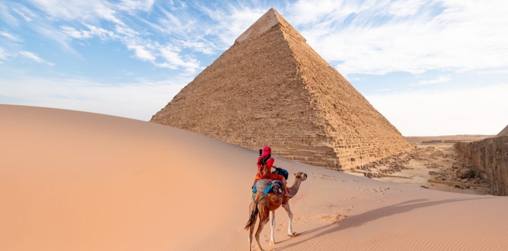 camels,in,giza,pyramid,complex, ,a,woman,in,a