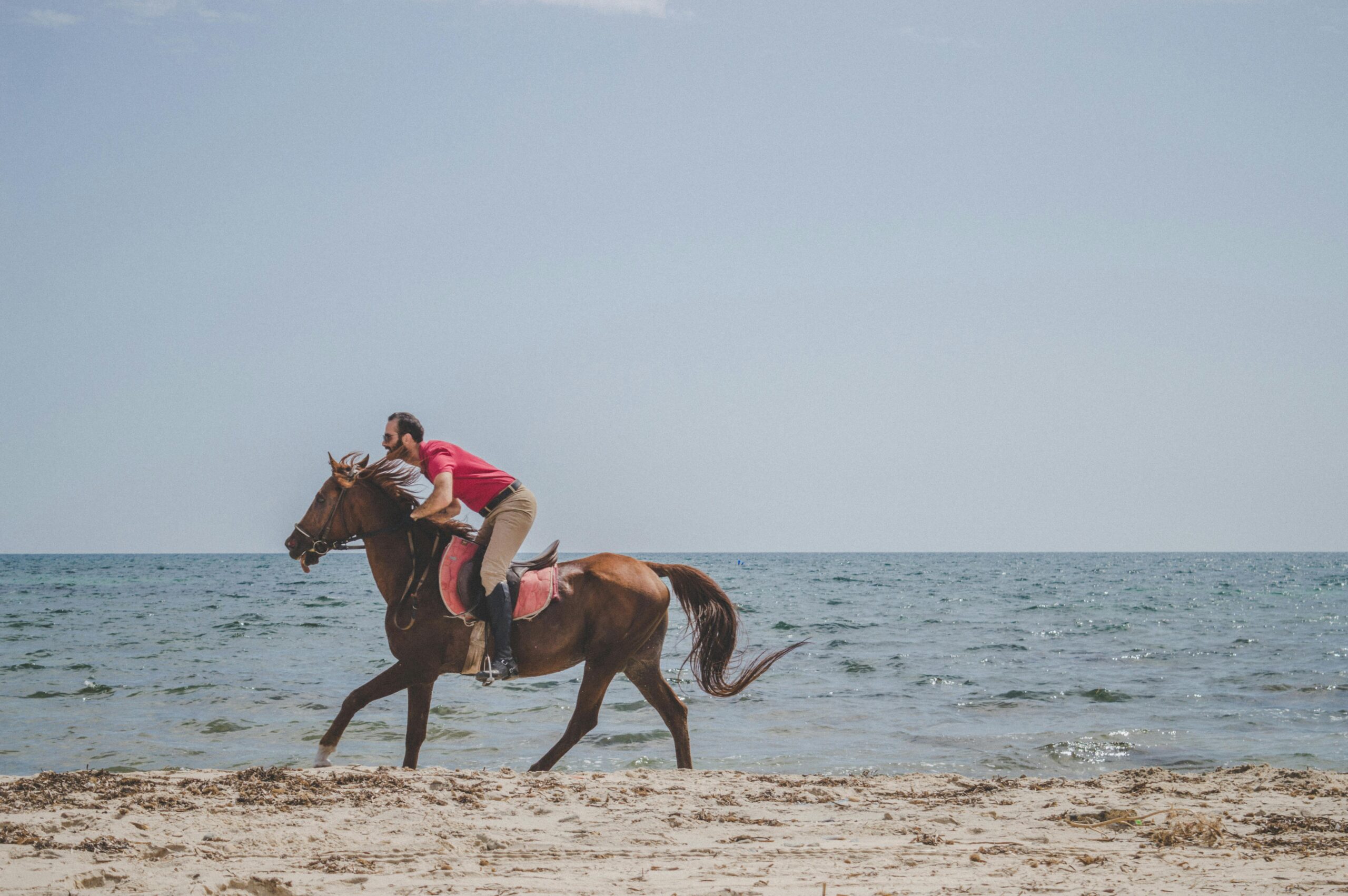 pexels chermitove 27999427