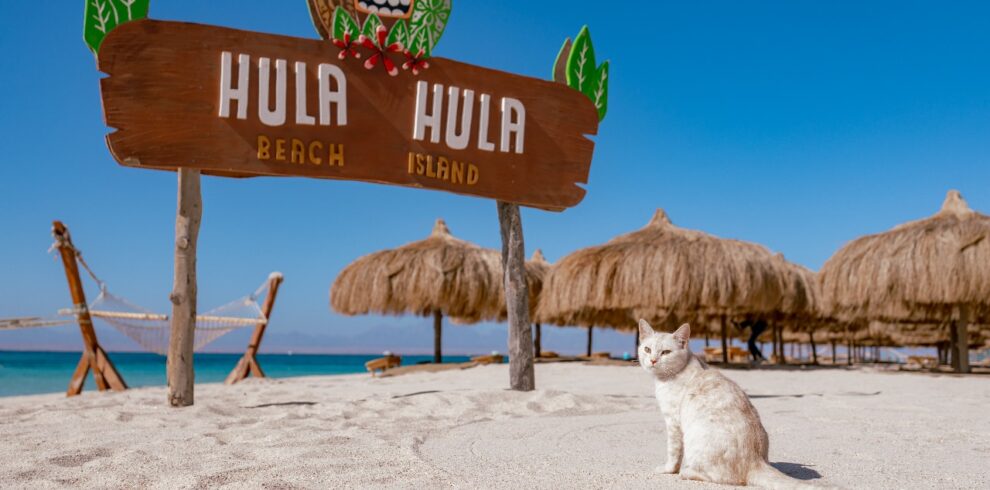 397f1480 5a70 44ce 85da 7ac18a1dd690