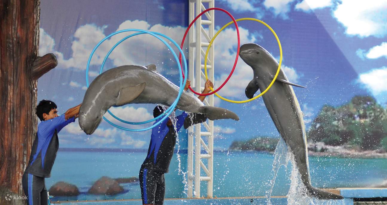 pattayadolphinworldticket