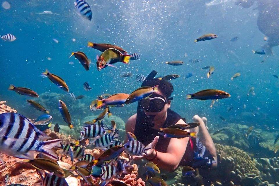 exploreorangeandparadiseislandswithaspeedboattourfromhurghada klooksingapore