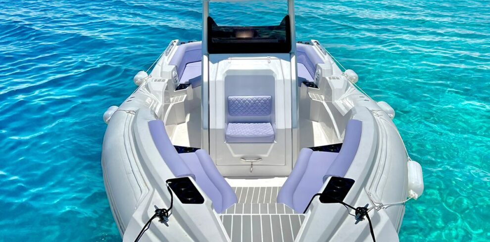 whatsapp image 2026 02 17 at 8.41.50 pm