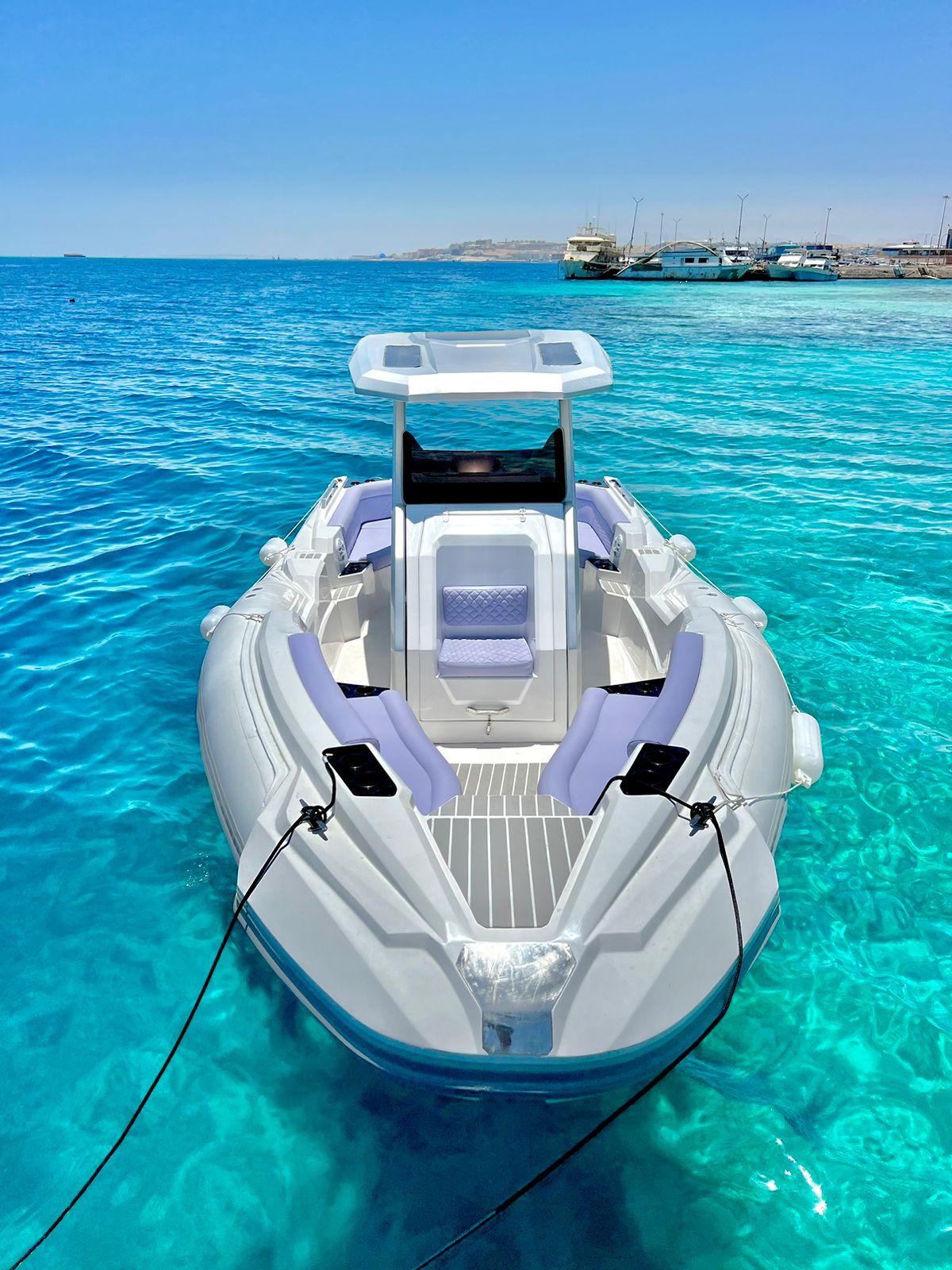 whatsapp image 2026 02 17 at 8.41.50 pm